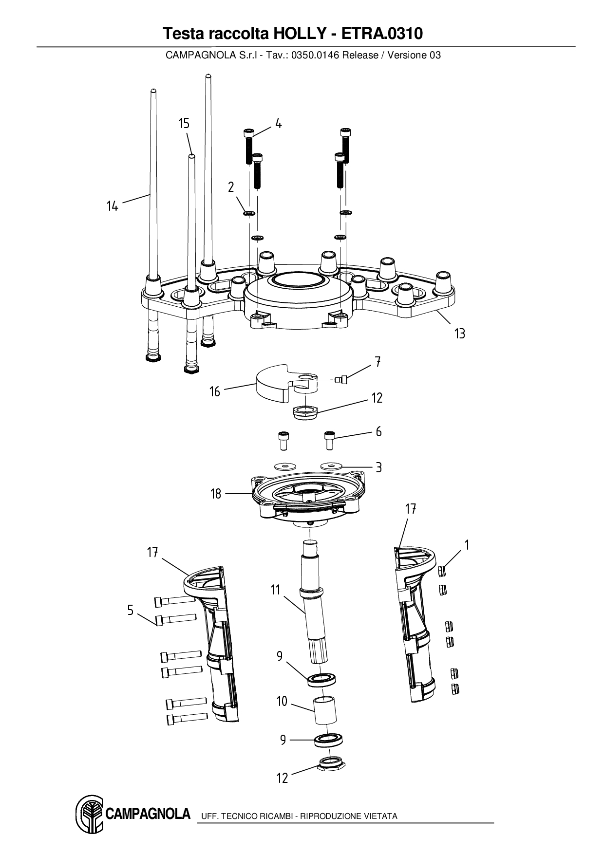 ETRA.0310_Testa raccolta HOLLY